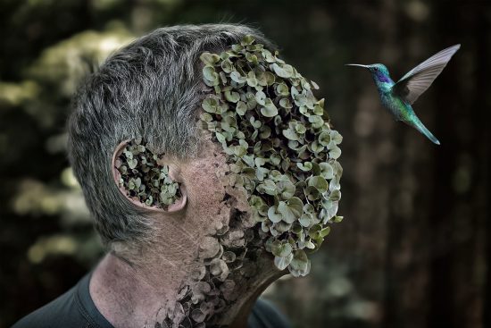 découvrez des tutoriels créatifs qui stimulent votre imagination et vous aident à développer de nouvelles compétences. que vous soyez débutant ou expert, explorez des techniques innovantes et des projets passionnants pour exprimer votre créativité.