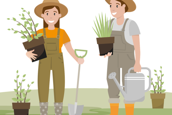 maîtrisez les compétences avancées en jardinage pour transformer votre espace extérieur en un véritable havre de paix. découvrez des techniques innovantes, des astuces de professionnels et des conseils pratiques pour cultiver des plantes luxuriantes et optimiser votre jardin.