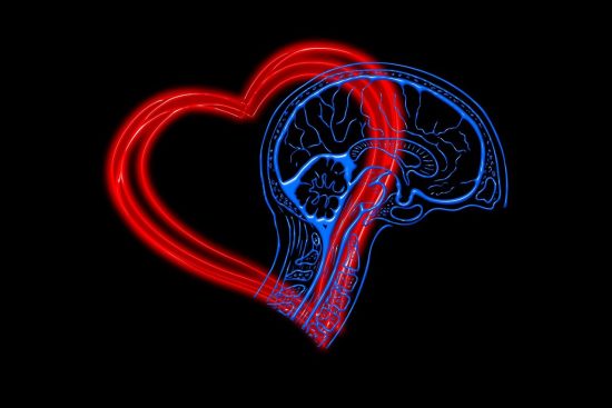 découvrez l'intelligence émotionnelle, un atout essentiel pour mieux comprendre et gérer vos émotions ainsi que celles des autres. apprenez à développer vos compétences émotionnelles pour améliorer vos relations personnelles et professionnelles.