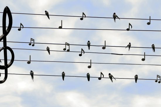 découvrez l'art du chant : techniques, conseils et inspirations pour libérer votre voix et exprimer vos émotions à travers la musique. que vous soyez novice ou chanteur confirmé, plongez dans l'univers du chant et améliorez vos performances vocales.
