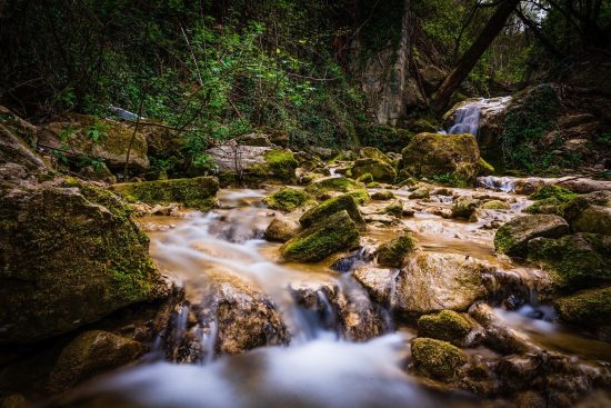 découvrez des compétences essentielles en retouche photo pour sublimer vos images. apprenez des techniques professionnelles pour améliorer la qualité de vos photos, maîtriser les outils de création et révéler votre créativité.
